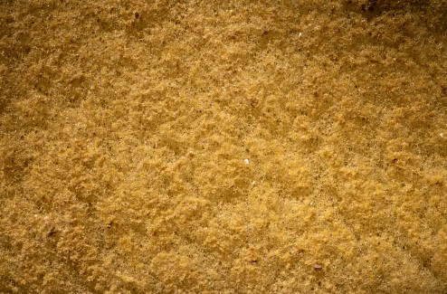  海绵金回收能提炼多少纯度？