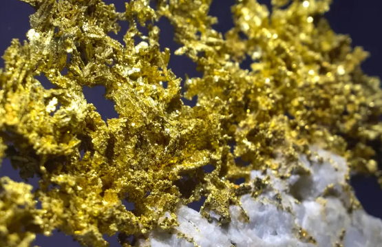 金盐回收行业发展趋势预测 金盐回收行业发展趋势预测